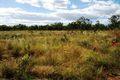 Property photo of 161 Niceforo Road Lansdowne NT 0850