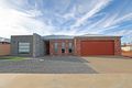 Property photo of 11/939 Karadoc Avenue Irymple VIC 3498