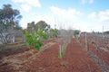 Property photo of 13 Stipa Street Goolgowi NSW 2652