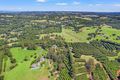 Property photo of 441 Sneaths Road Alstonvale NSW 2477