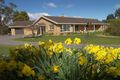 Property photo of 93 Devon Hills Road Devon Hills TAS 7300