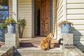 Property photo of 28 Devon Street Wallsend NSW 2287