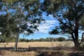 Property photo of 99 Moore Road Millendon WA 6056