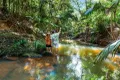Property photo of 7 Discovery Drive Kuranda QLD 4881