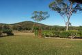 Property photo of 279 Greenlake Road Rockyview QLD 4701