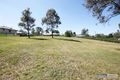 Property photo of 15-17 Kauri Court Cedar Vale QLD 4285