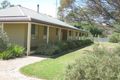 Property photo of 66 Packer Avenue Mundulla SA 5270