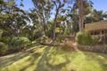 Property photo of 38 Sophia Crescent North Rocks NSW 2151