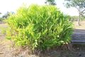 Property photo of 173 Coda Road Bynoe NT 0822