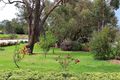 Property photo of 36A Doran Road Bunyip VIC 3815