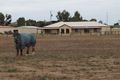 Property photo of 39 Morcombe Road Moonta Mines SA 5558