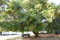 Property photo of 1063 Karadoc Avenue Irymple VIC 3498