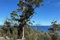 Property photo of 613 White Beach Road White Beach TAS 7184