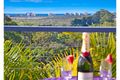 Property photo of 28 Myeerimba Parade Tweed Heads West NSW 2485