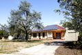 Property photo of 6 Cameron Road Elizabeth Vale SA 5112