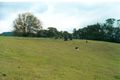 Property photo of 132 Monbulk Road Mount Evelyn VIC 3796