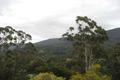 Property photo of 16 Ferntree Avenue Warburton VIC 3799