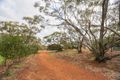 Property photo of 31 Katta Rise Coondle WA 6566