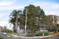 Property photo of 3/351 Bronte Road Bronte NSW 2024