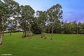 Property photo of 21 Sloop Street Seven Hills NSW 2147