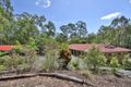 Property photo of 203-209 Harris Road Cedar Vale QLD 4285