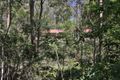 Property photo of 203-209 Harris Road Cedar Vale QLD 4285