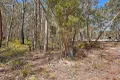 Property photo of Nicklasons Road Pyengana TAS 7216