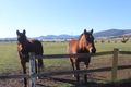 Property photo of 2899 Tasman Highway Orielton TAS 7172