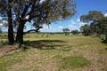 Property photo of 148 Back Saleyards Road Molong NSW 2866