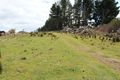 Property photo of 1295 Jumbuk Road Jumbuk VIC 3869