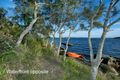 Property photo of 24 Eucalypt Close Wangi Wangi NSW 2267
