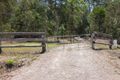 Property photo of 187 Allandale Road North Arm QLD 4561