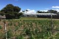 Property photo of 35 Torrens Avenue The Entrance NSW 2261