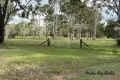Property photo of LOT 31 Birch Road Wattle Camp QLD 4615