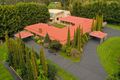 Property photo of 3 Cloverlea Drive Kilsyth South VIC 3137
