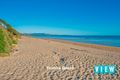 Property photo of 15 Arcadia Avenue Turners Beach TAS 7315