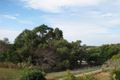 Property photo of 17 Bowd Parade Wavell Heights QLD 4012