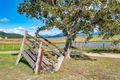 Property photo of 79 Kalbar Connection Road Kalbar QLD 4309