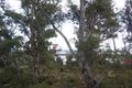 Property photo of 106 Jones Road Miena TAS 7030