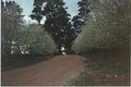 Property photo of 141 Osborne Road Burradoo NSW 2576