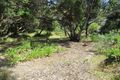 Property photo of 85 Seventh Avenue Anglesea VIC 3230