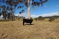 Property photo of 2610 The Bucketts Way Belbora NSW 2422