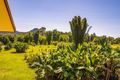 Property photo of 99 Coral Avenue Mullumbimby NSW 2482