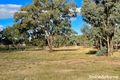 Property photo of 12 Cherry Tree Close Bendick Murrell NSW 2803