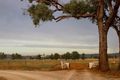 Property photo of 434 Frogleys Road Walmer NSW 2820