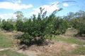 Property photo of 1245 Childers Road Branyan QLD 4670