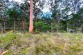 Property photo of 2556 Market Way North Arm Cove NSW 2324
