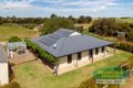 Property photo of 193 Nine Mile Road Willyaroo SA 5255