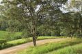 Property photo of 207 Upper Buckrabendinni Road Buckra Bendinni NSW 2449