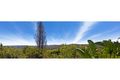 Property photo of 58 Dareen Street Frenchs Forest NSW 2086